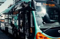 white and green bus on road during daytime